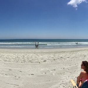 Meet your Posher, Rose